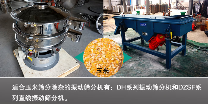 玉米振動篩分機 玉米振動篩分機
