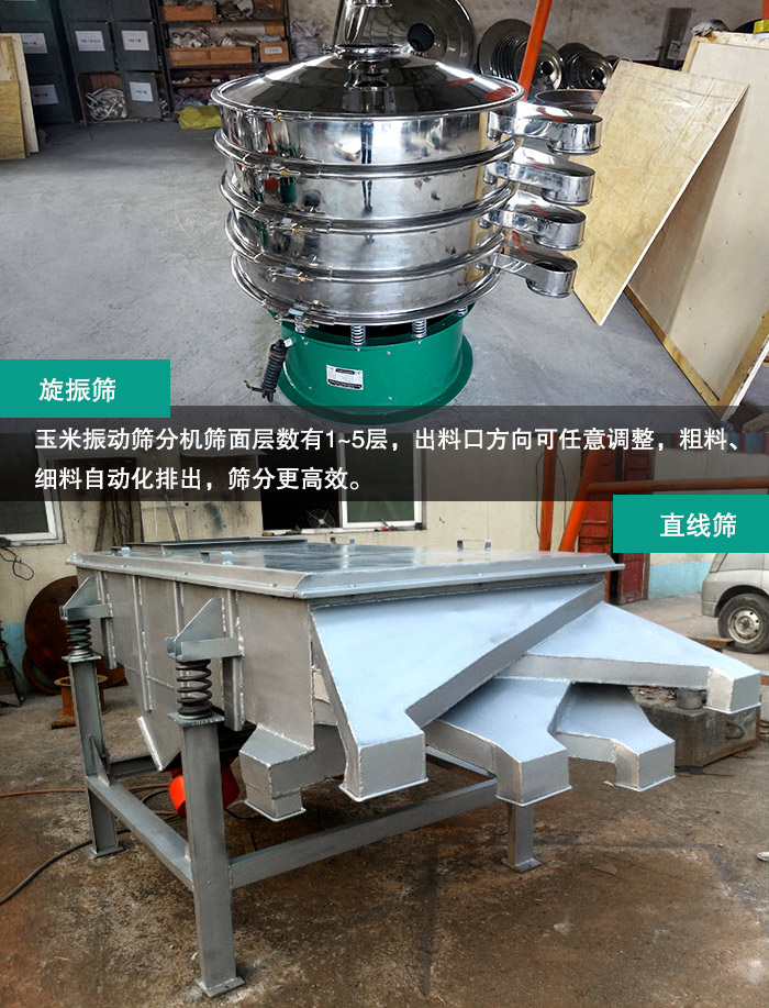 玉米振動篩分機 玉米振動篩分機